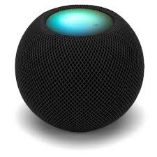 Apple - HomePod - Space Gray